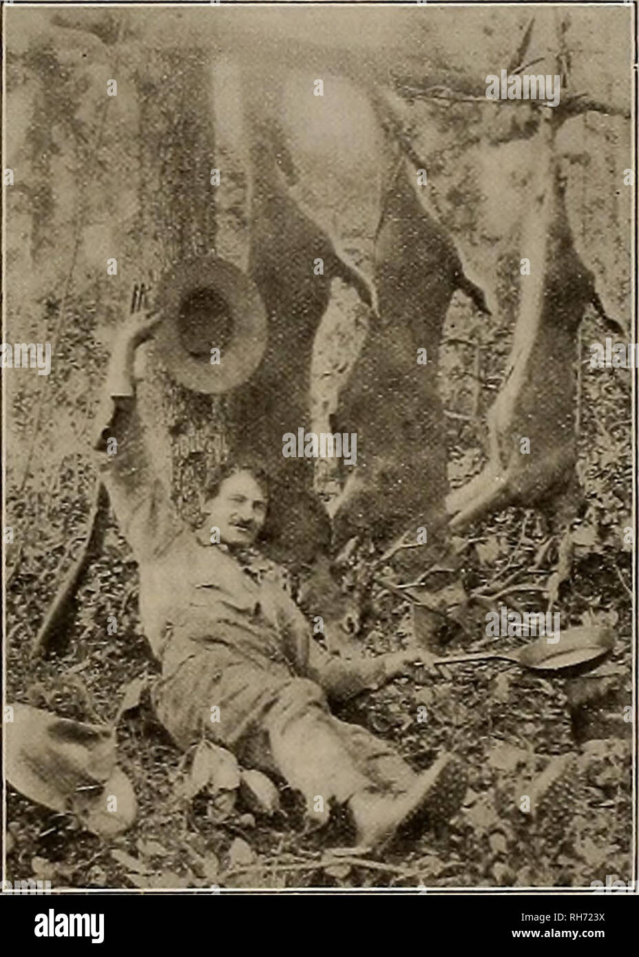 . Source et sportsman. Les chevaux. Samedi, 26 décembre 1908.] L'OBTENTEUR ET SPORTSMAN 15 tiful, "chien", Bobs à Basingstoke, mettre une pièce d'or dans bis fort comme un début. Un autre chien, "Jim", a commencé à recueillir à l'âge de l'et seulement quatre mois. Il était comme une balle de laine, et qu'ils peuvent être mis dans une poche de l'homme. Il a appris à aboyer bis grâce à chaque fois qu'une pièce a été mis dans sa boîte. "Jim" était un chien intelligent. Si une allumette ont été lancés sur le terrain ne serait pas invariablement sur Jim et le mettre dehors. Le sud-ouest de fer peut se vanter d'un célèbre chien dans "London Jack II Banque D'Images