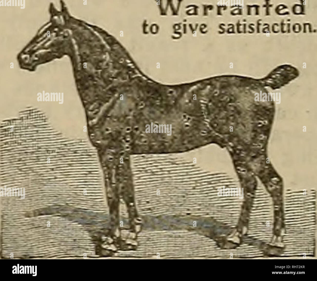 . Source et sportsman. Les chevaux. 11 L'éleveur et SPORTSMAN [Samedi, 13 Septembre, 1913. La FIN MONROE SALISBURY ET DIRECT. Si je pouvais avoir mon choix de voir l'un des artistes notables de la saison qu'à ce jour je n'ai pas été privilégiée sur pour voir, j'hesita- tion sans choisir Directum I, M. James Butler's little chestnut stallion, stimulation que mercredi dernier, en Goshen, X. T., arpenter la chaleur d'un tiers au cours de la course gagnante Orange County historique à 800 mètres de la piste de temps sans précédent de 2:03 %. En règle générale, je ne suis pas devenu profondément intéressé à de nombreux pacers. Extreme paci Banque D'Images