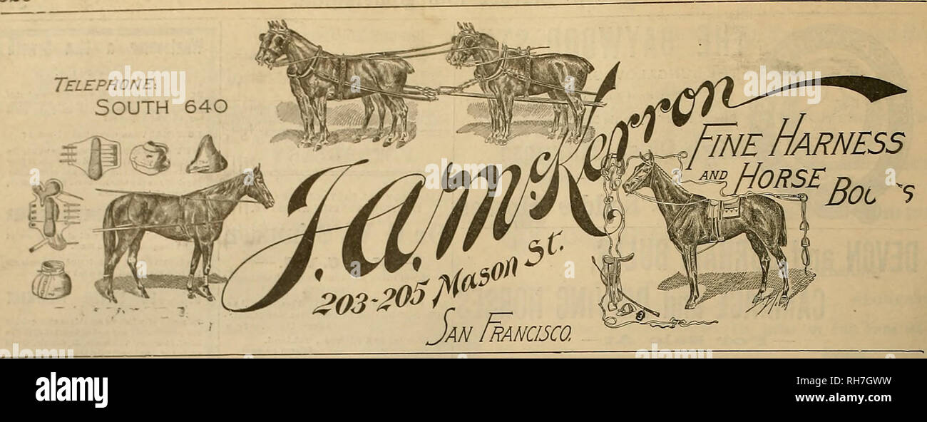 . Source et sportsman. Les chevaux. 320 Qfte @vee&amp;mt ev ?&gt ; gpcvtmnmu [Novembre 12, 1898. Coney Island Glub Jockey. Course-Sheepshead course Bay, New York. OfficeâFifth' Avenue cor. 22d Street, New York. Piquets pour fermer le Mardi, novembre 15,1898. Pour la réunion de juin 1899. -_- * | p- r~S UNE HJI RI,r&gt;00] additionneur (estimé vnlue $t,000)-pour deux ans, I M I- rUM poulains IVI de 1V7 : par subsmpti.m de 5Q gebc, appâts [orfeit ou ?si je b) M.IV 15. l-'.'.M avec SI,500 ajoutés, dont *350 à 151 $ et deuxième tbe) à la de $.5000. s livres ; chevaux supplémentaires qui ont commencé et n'ont pas !. ; $600,10 livres. Banque D'Images