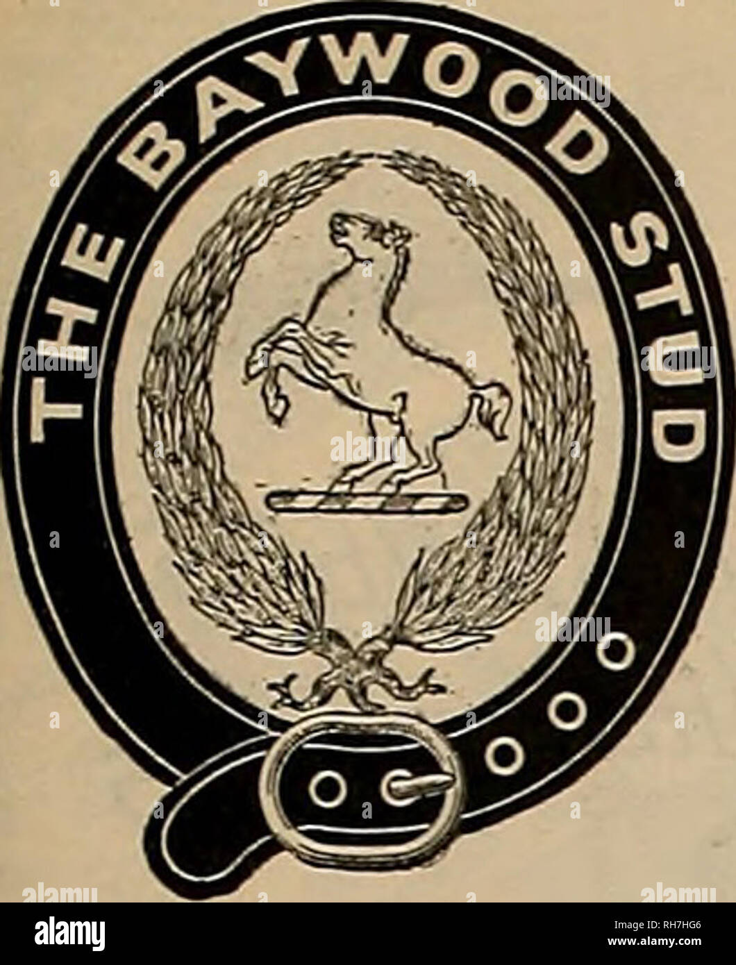 . Source et sportsman. Les chevaux. Mat 7, 1898] ©il gvee&amp;mtt ev&gt ; grpxnrtemon* 359. The BAYWOOD goujon. Le BUNGALOW SAN MATEO, CAL. Exclusivement CONSACRÉ À LA SÉLECTION ET LA FORMATION DES CHEVAUX DE SELLE DE VERRE ET LE FAISCEAU, et les poneys GOBS The Baywood Stud's Premier étalon d'IMP. HACK ney VERTS RUFUS 63 (4291) Championne Junior, spectacle à NEW YORK, en 1893, et gagnant, À CE JOUR, DE DIX AUTRES PREMIERS PRIX SERVIRA UNE NUMEER LIMITÉE DE JUMENTS APPROUVÉS AU COURS DE LA SAISON 1898. ccDnrT err &lt;fc"7K je MARES prouver la saison prochaine retournables stérile gratuitement. OLKVIUL rtC, CD / O LES RÉDUCTIONS APPORTÉES À Banque D'Images