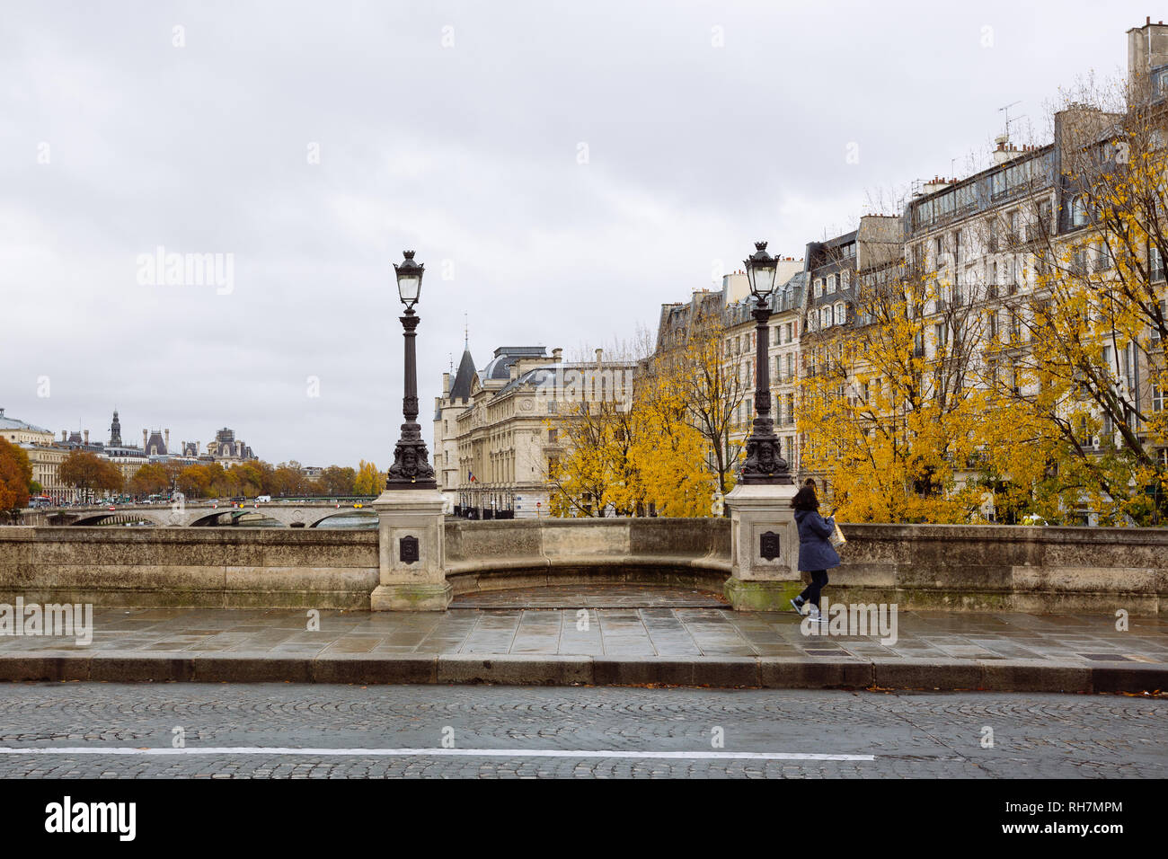 Paris (France) - marcher le long de la Seine dans une journée d'hiver Banque D'Images