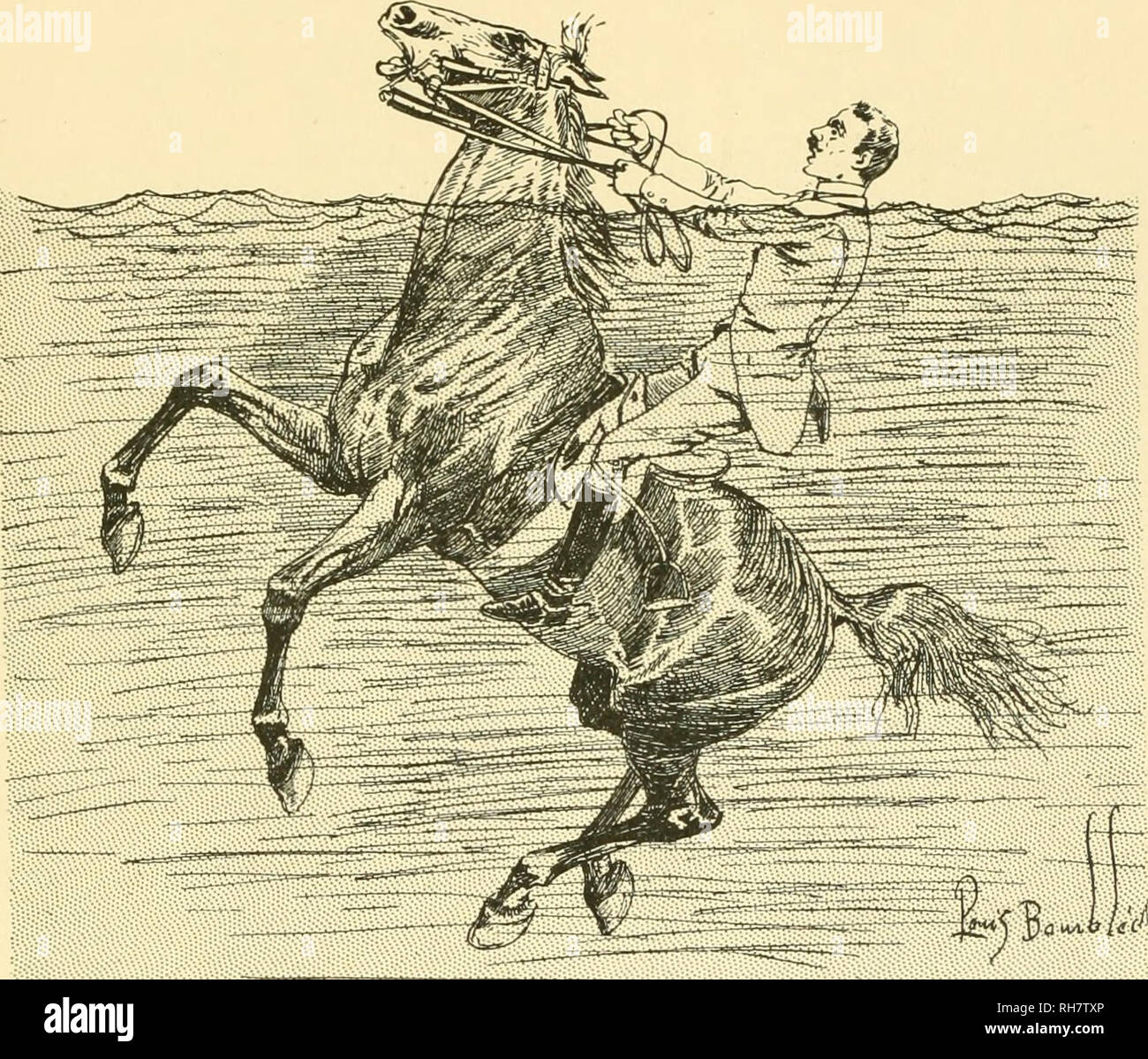 cheval noye banque d image et photos alamy pages de coloriage gratuites pour les enfants