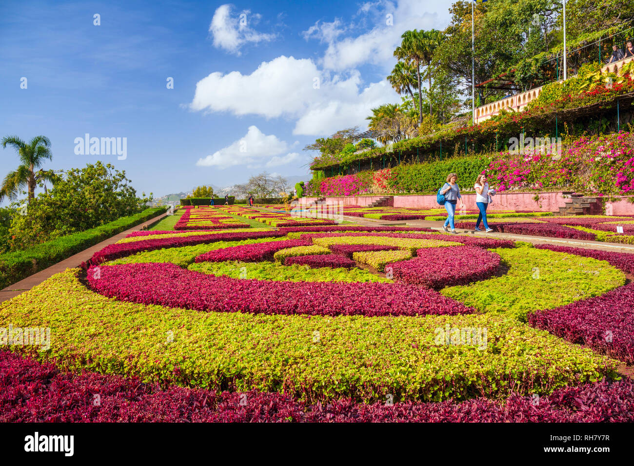 Madère PORTUGAL Madère Funchal jardins botaniques Jardins botanique Jardim Botanico au-dessus de la capitale de Funchal, Madeira, Portugal, Union européenne, Europe Banque D'Images