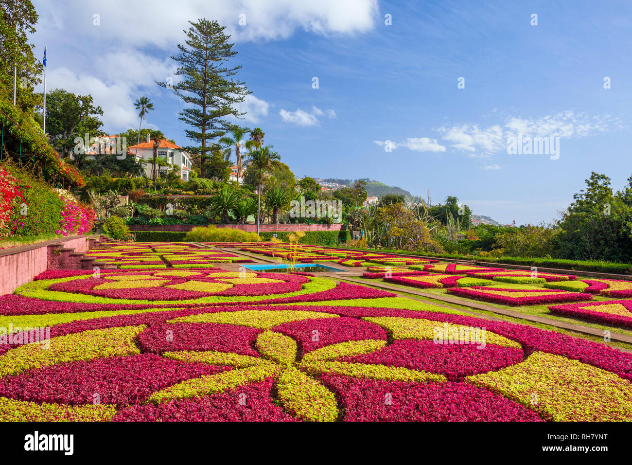 MADÈRE PORTUGAL MADÈRE Jardins botaniques FUNCHAL JARDINS BOTANIQUES Jardim Botanico au-dessus de la capitale de Funchal, Madère, Portugal, UE, Europe Banque D'Images