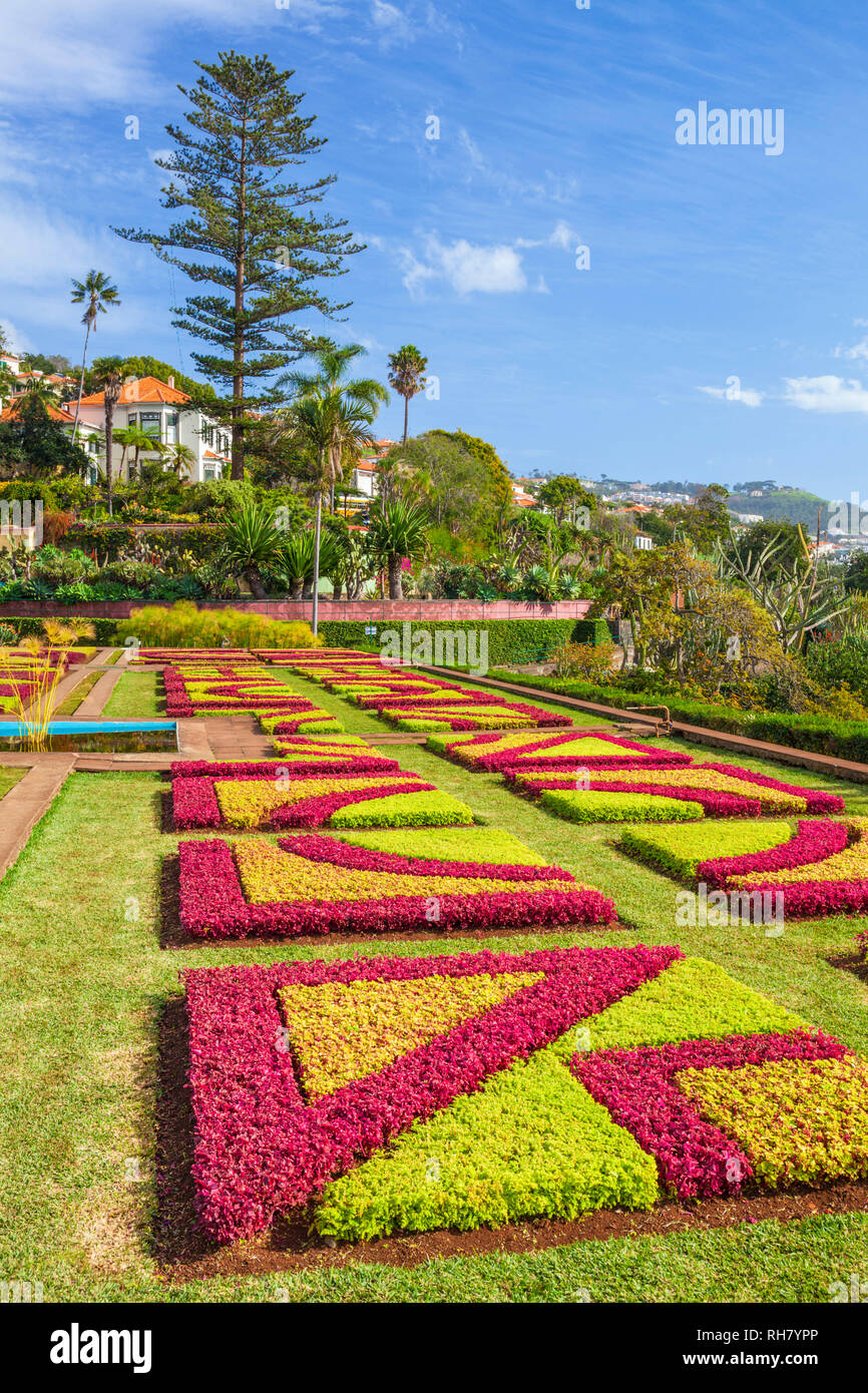 Madère PORTUGAL Madère Funchal jardins botaniques Jardins botanique Jardim Botanico au-dessus de la capitale de Funchal, Madeira, Portugal, Union européenne, Europe Banque D'Images