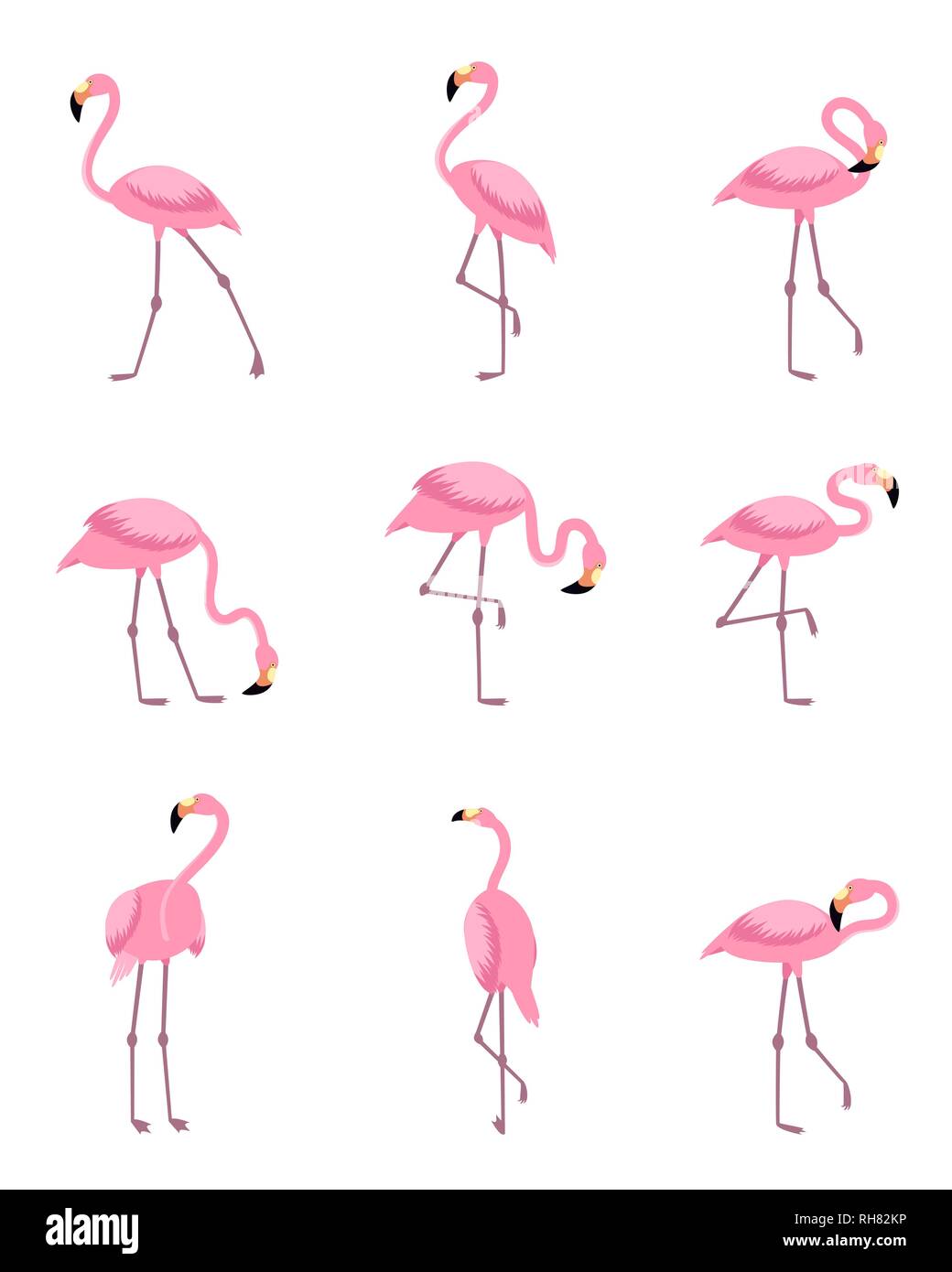 Flamant rose tropical Illustration de Vecteur