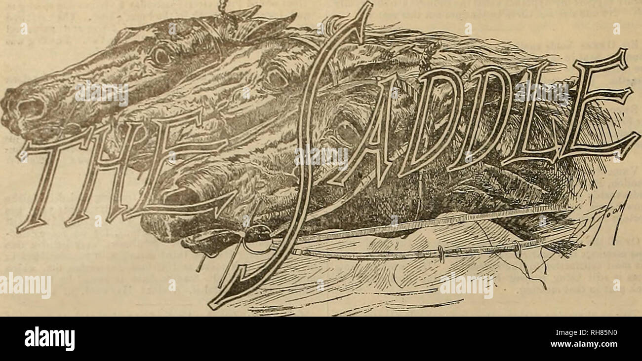 . Source et sportsman. Les chevaux. 182 ©jje gxesbsv cmb &amp;p&amp;xt&amp;maxt* [septembre 17,1898 L*7. Les commentaires du juge Murphy. Le célèbre juge président écrit en- terestingly sur plusieurs questions de territoire. Joseph A. Murphy, qui sera de nouveau juge président à Oakland en Californie lorsque le Jockey Club beginB sa réunion d'automne, écrit une lettre à la plus intéressante l'esprit de New York de l'époque de Saint Louis, où il a présidé la réunion de courses d'été duiitg, et de là, c'est nous rendre les extraits suivants : Lorsque je suis arrivé de Californie j'ai trouvé le cheval local- hommes agitant la question de sta Banque D'Images