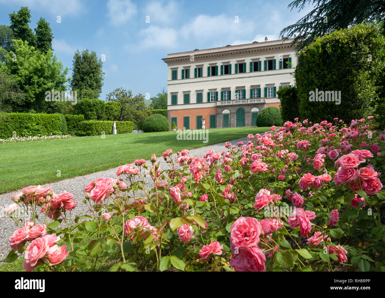 Marlia, Lucca, Italie - 2018, 25 mai : Le jardin de la Villa Reale, à Marlia, Lucca. Fleurs roses à l'avant-plan. Banque D'Images