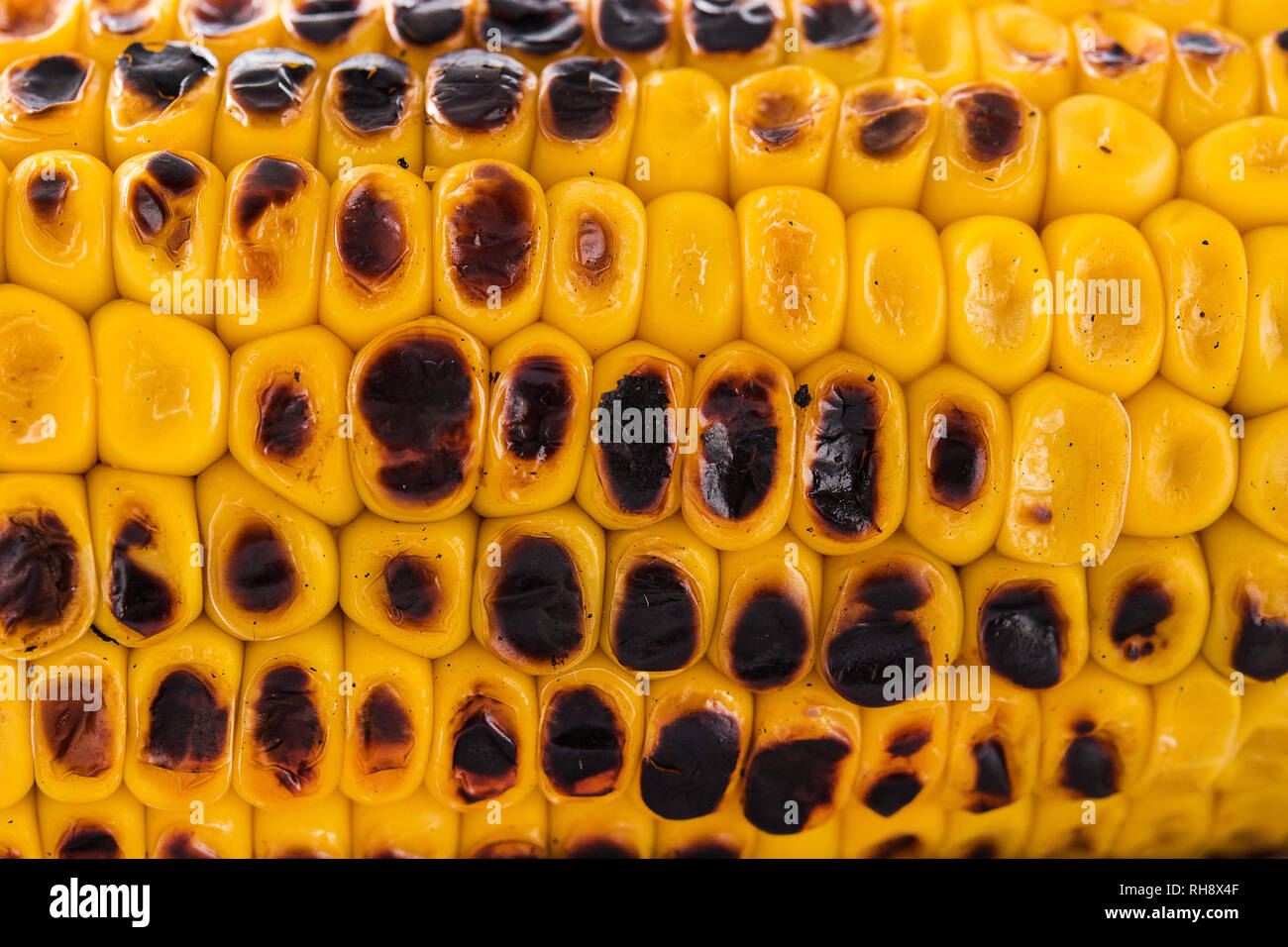 Arrière-plan de maïs doux grillé Banque D'Images