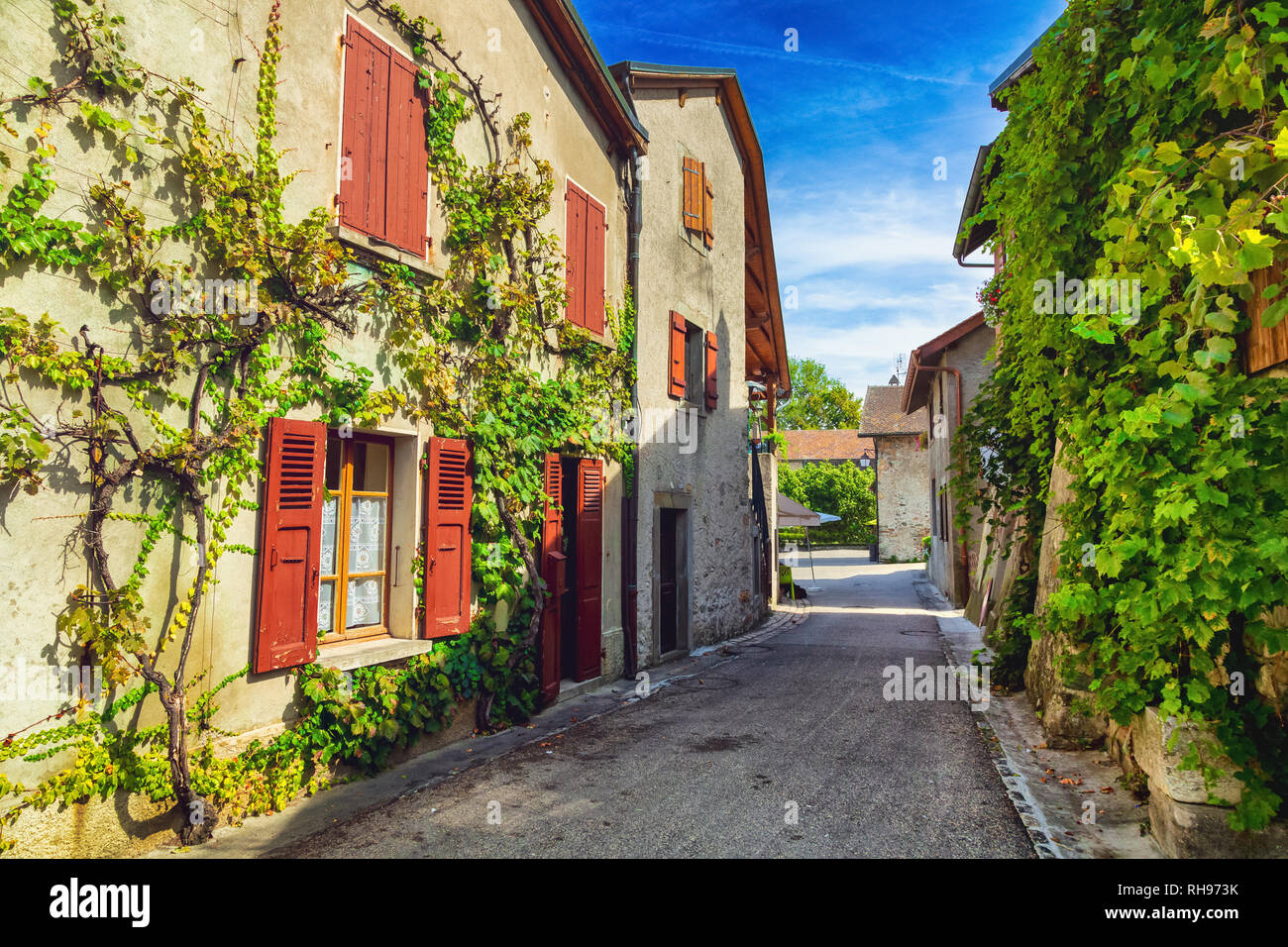 Maisons couvertes de lierre dans la ville médiévale française Yvoire Banque D'Images