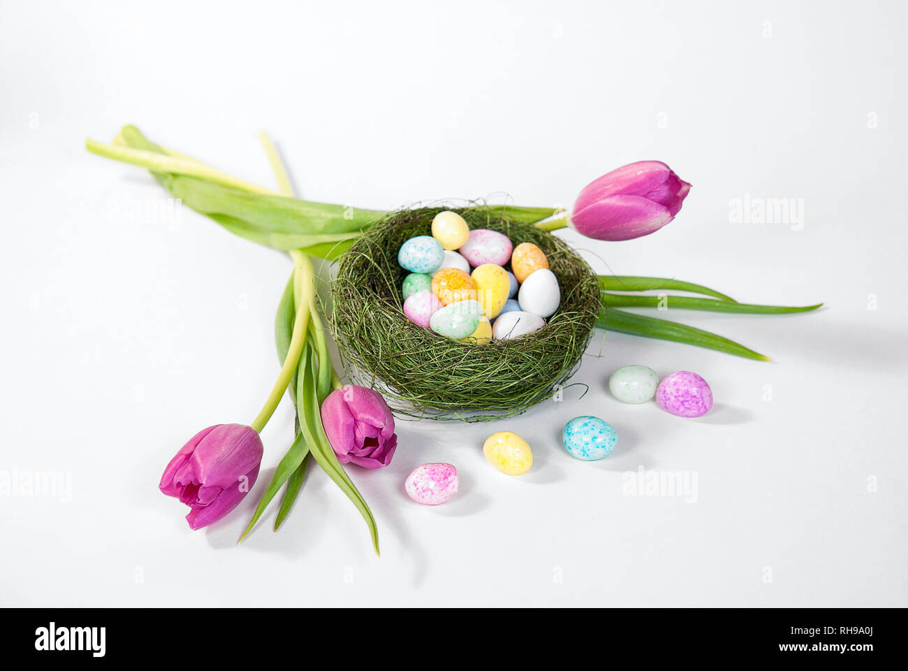 Colores pastel vert en nid d'oiseau avec des tulipes roses isolated on white Banque D'Images