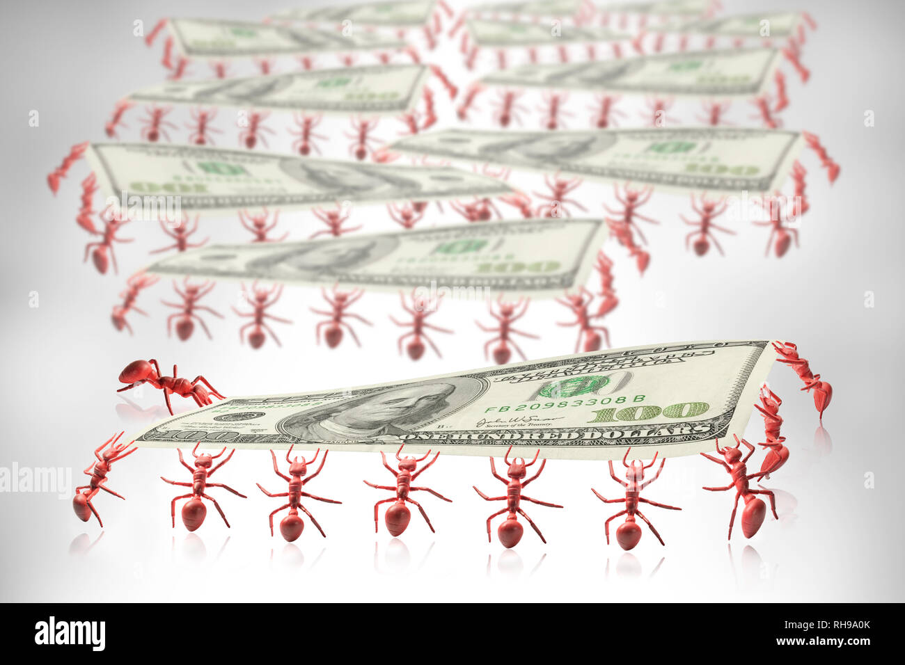 Avis de jouet de fourmis transportant de l'argent. Banque D'Images
