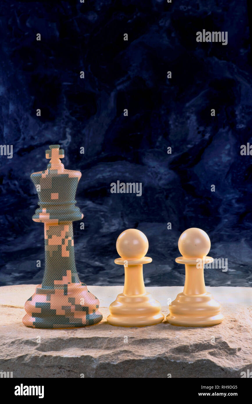 Roi d'échecs dans le camo et ses pions. Banque D'Images