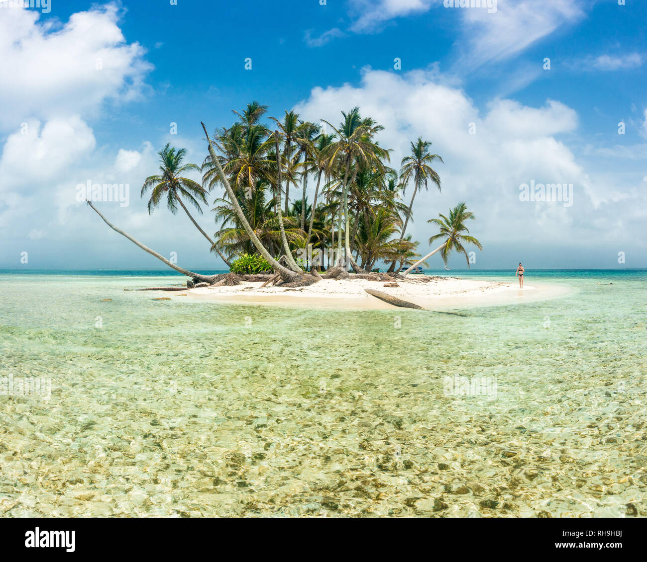 Lîle Paradisiaque Avec Coco Palmier Et Plage De Sable De