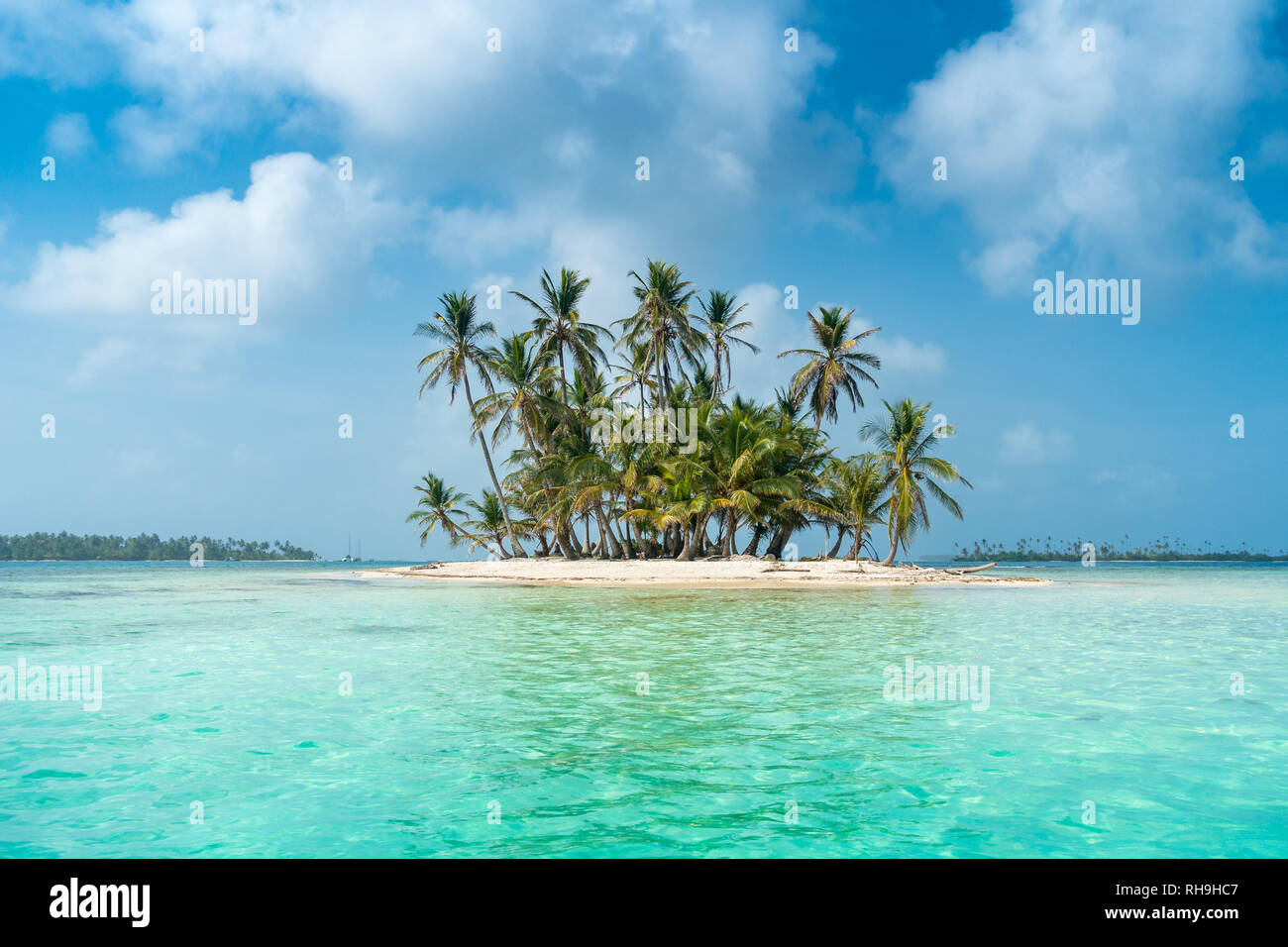 Lîle Paradisiaque Avec Coco Palmier Et Plage De Sable De