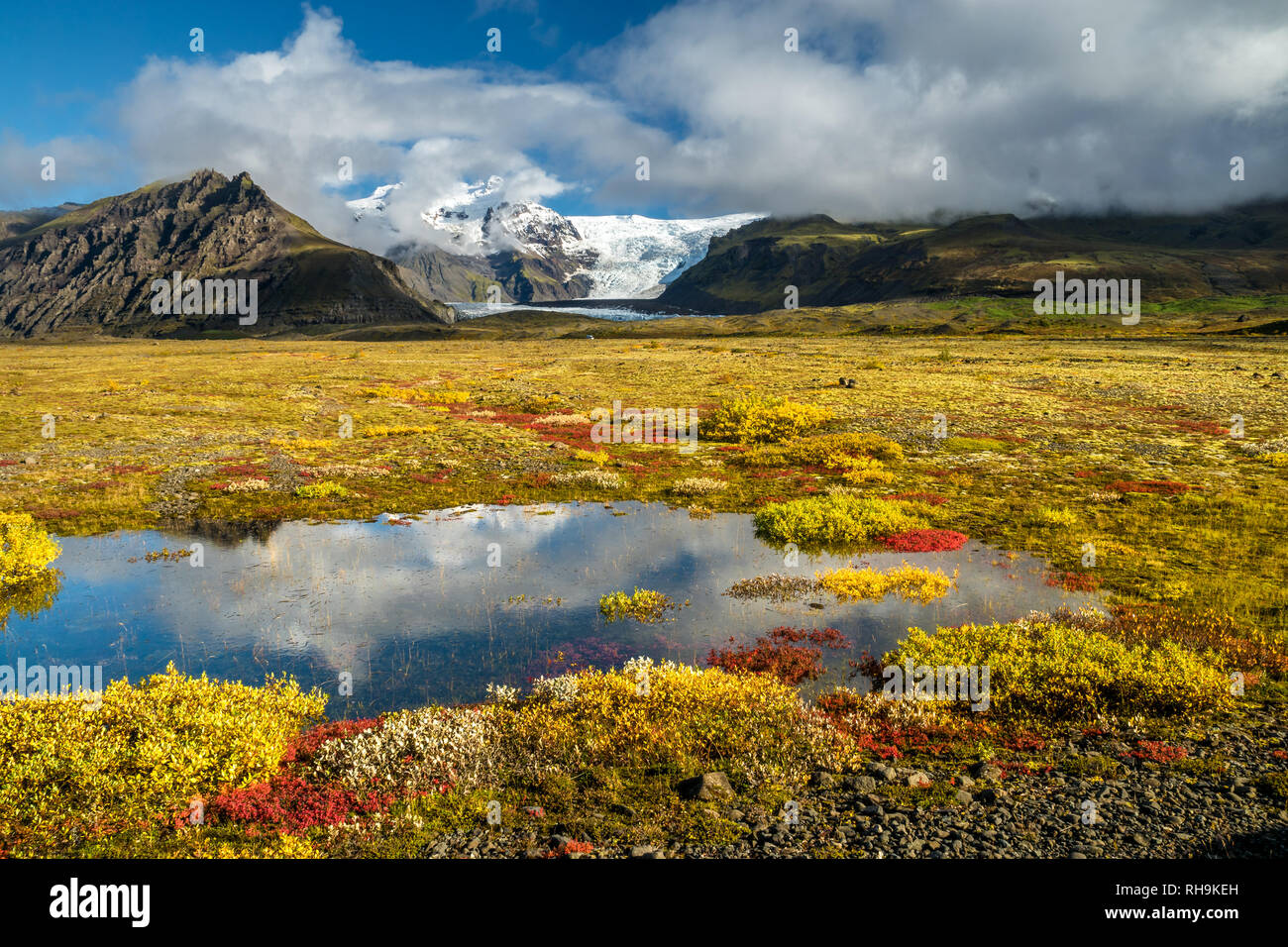 La toundra d'automne dans le parc national de Skaftafell Banque D'Images