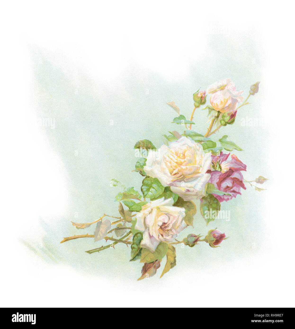 C Antique1890 chromolithographic illustration d'un bouquet de rose, imprimé en Allemagne. SOURCE : livret de mariage original. Banque D'Images
