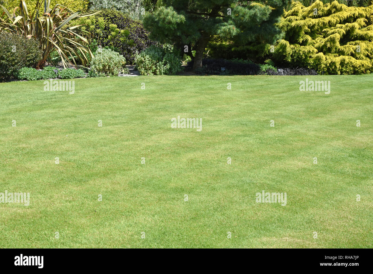 Un anglais parfait pays jardin avec pelouse entourée par des frontières, d'arbustes et de petits arbres Banque D'Images