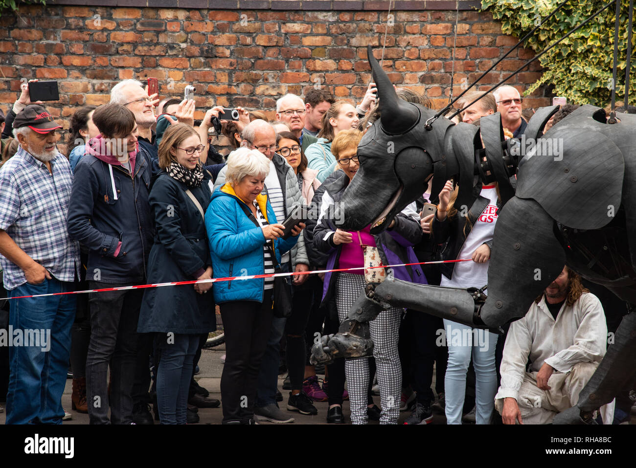 Le rêve de Liverpool Xolo le chien Giants Banque D'Images