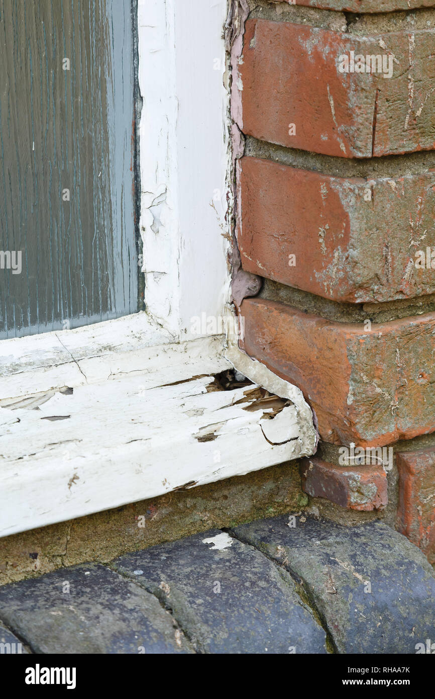 Détail de pourrir dans un vieux châssis de fenêtre en bois Banque D'Images