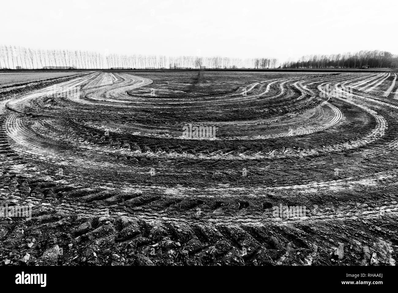 Imprime les cercles des pneus du tracteur sur le terrain Banque D'Images