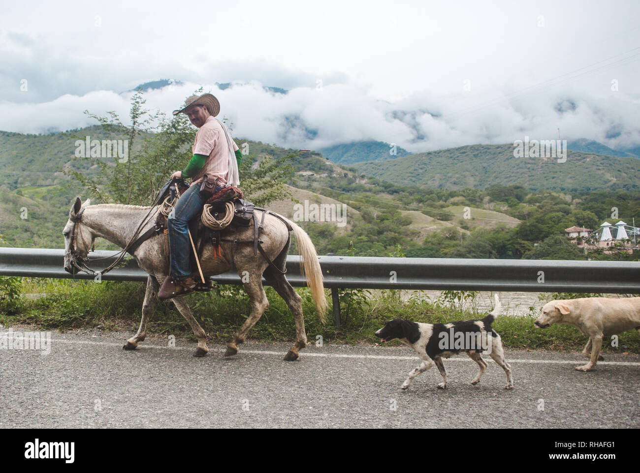 L'agriculteur fait des promenades à cheval le long de la route de montagne principale avec ses chiens près de Santa Fe de Antioquia, Colombie Banque D'Images
