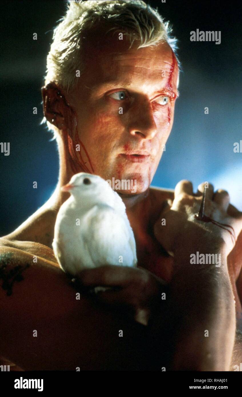 RUTGER HAUER, Blade Runner, 1982 Banque D'Images