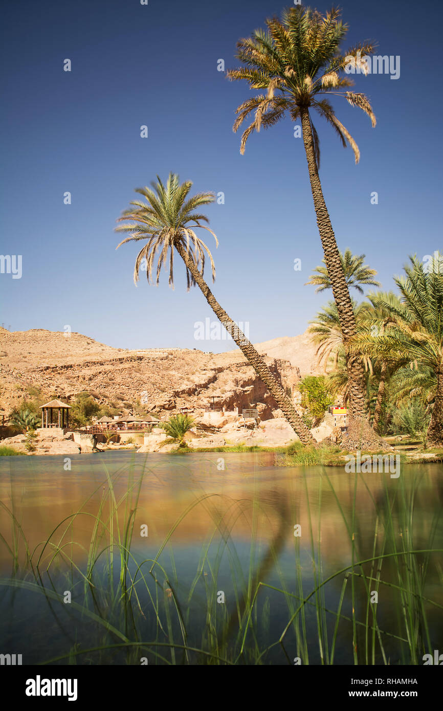 Lac incroyable et oasis avec des palmiers (Wadi Bani Khalid) dans le désert omanais Banque D'Images