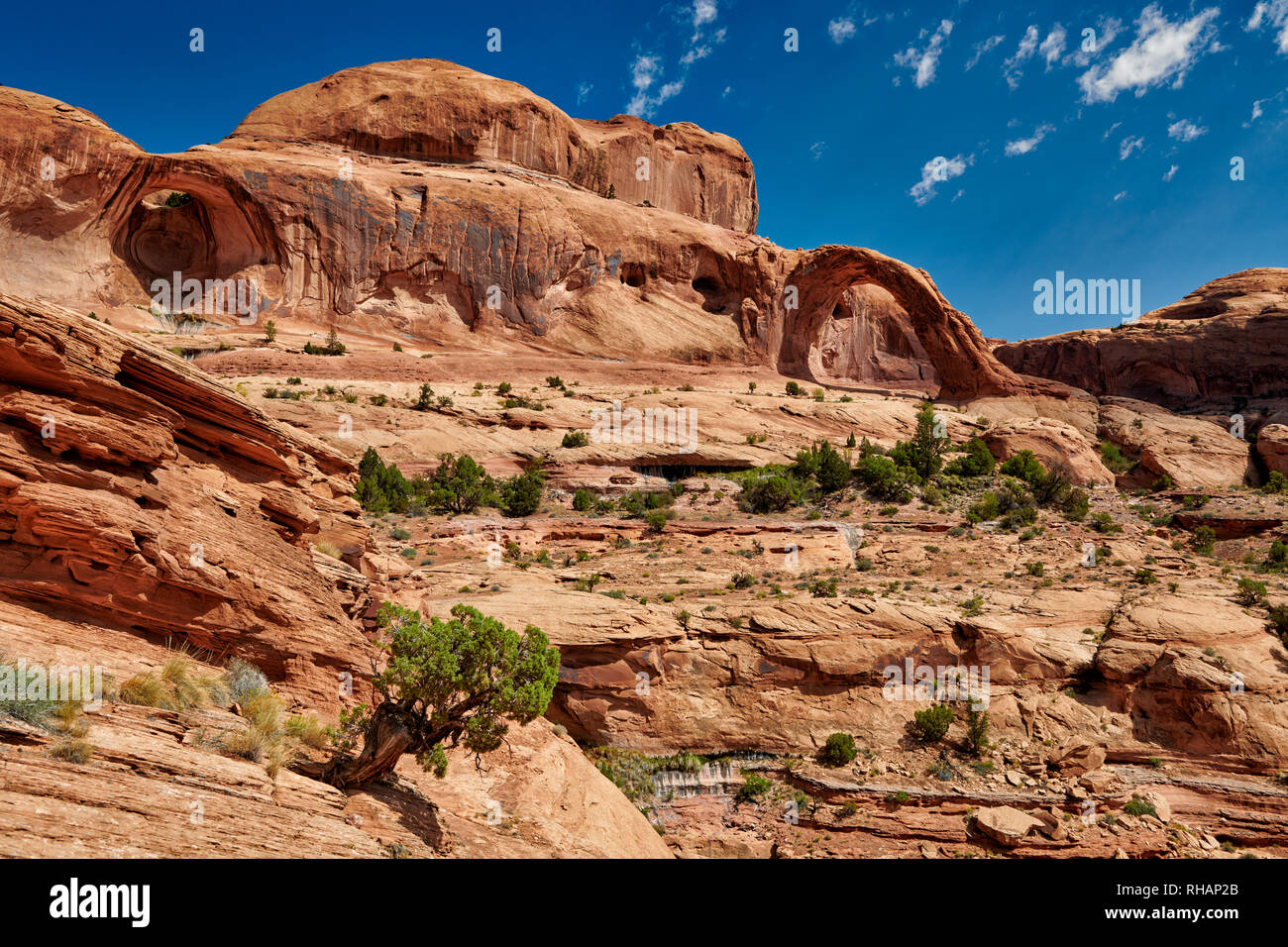 Corona Arch, Moab, Utah, USA, Amérique du Nord Corona Arch, Moab, Utah, USA, Jeux Banque D'Images
