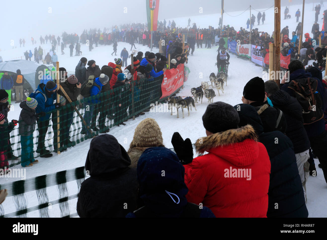 Course internationale de traîneaux à Todtmoos village, Waldshut, Bade-Wurtemberg, Allemagne, Europe, 26 au 27 janvier 2019 Banque D'Images