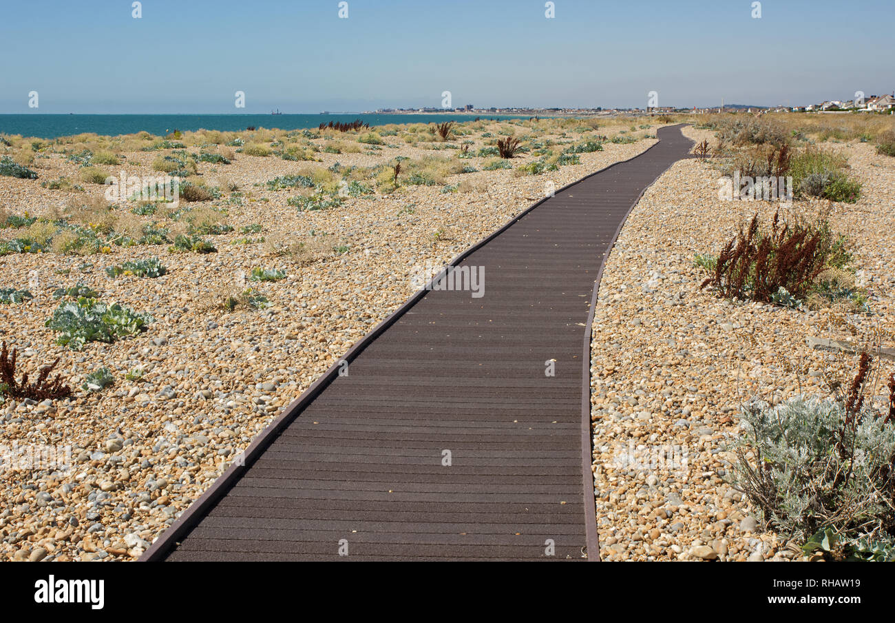 Promenade sur la plage de galets à Shoreham près de Brighton, East Sussex, Angleterre Banque D'Images