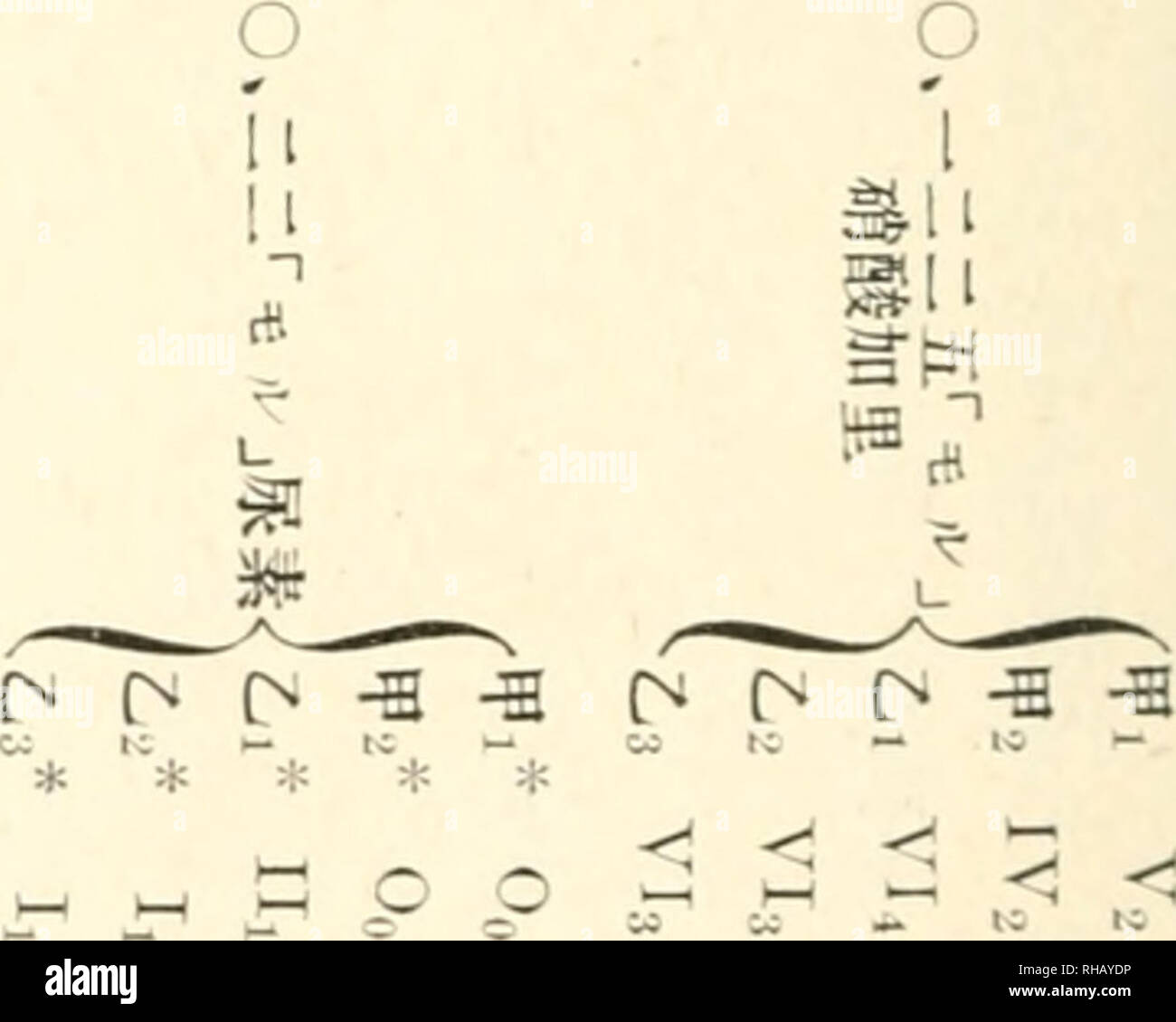 Le Botanical Magazine Les Plantes Les Plantes Le Japon Iv 1aa Ii N A Iv A A Aº Ia A I 2 Iv1 Iv1 Ai A Tf4 A Aº 1a Ii J V2