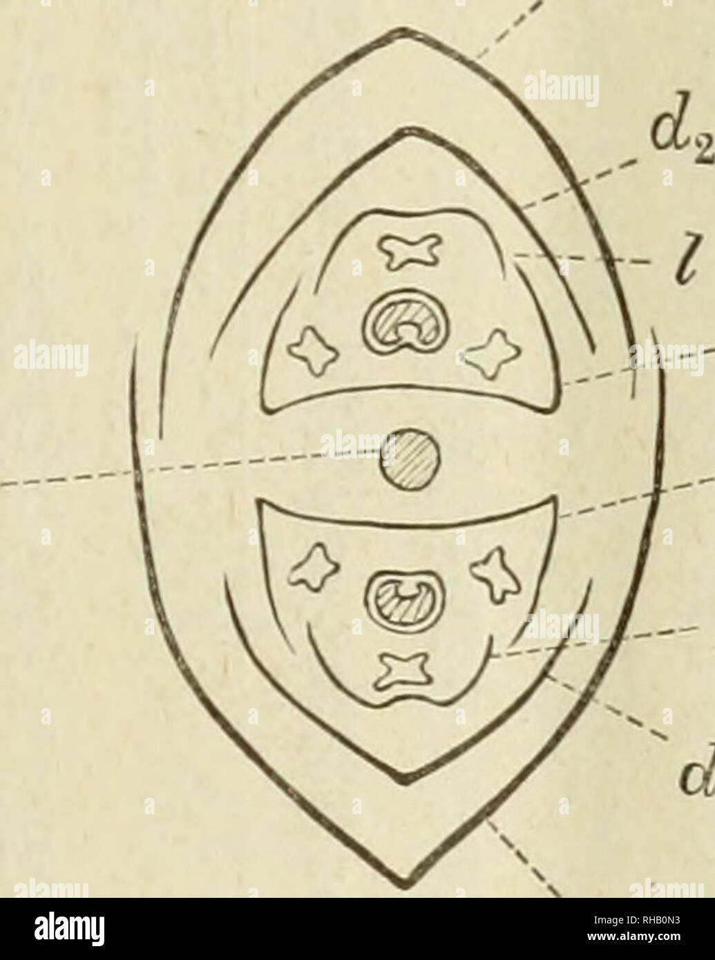 Le Botanical Magazine Les Plantes Les Plantes Le Japon C Ae Aaºaeaa E A Aaae Haaaa 346 Ae L Andropogon A A Kromeriz C Aºe A Aa A 2 H Aaaaa I Avem A A Aªaea A La A A A C C Ce Aºe A Aa H Eii