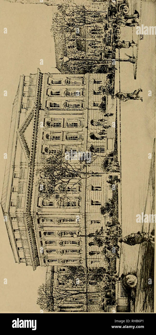 . La Boston Society of Natural History, 1830-1930. Boston Society of Natural History ; histoire naturelle -- sociétés, etc. M. B 0 -M CO O n -M 4-&gt ; . "A ri t a &lt;J g un js" K -3 N o^ K5 h "^ » 000 S-. £ T3 V B a V Q. Veuillez noter que ces images sont extraites de la page numérisée des images qui peuvent avoir été retouchées numériquement pour plus de lisibilité - coloration et l'aspect de ces illustrations ne peut pas parfaitement ressembler à l'œuvre originale.. Boston Society of Natural History, Creed, Percy R. (Percy Redfern), b. 1874. Boston : imprimé pour la société Banque D'Images