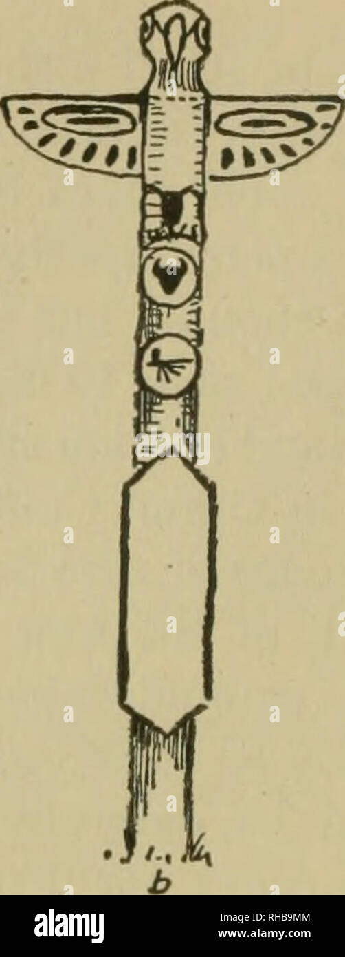 . Le livre de Wood et Indian lore. L'histoire naturelle ; Camping ; la vie en plein air ; les Indiens d'Amérique du Nord. . Veuillez noter que ces images sont extraites de la page numérisée des images qui peuvent avoir été retouchées numériquement pour plus de lisibilité - coloration et l'aspect de ces illustrations ne peut pas parfaitement ressembler à l'œuvre originale.. Seton, Ernest Thompson, 1860-1946. Garden City, N. Y., Doubleday, Page &AMP, le nom de l'entreprise Banque D'Images