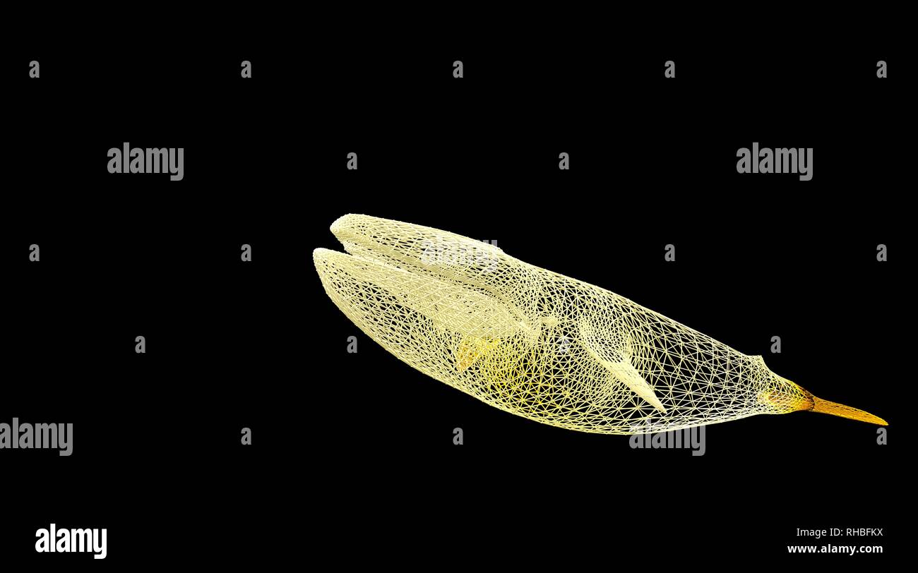 Le rendu 3D d'un animal wireframe isolé sur un fond noir Banque D'Images