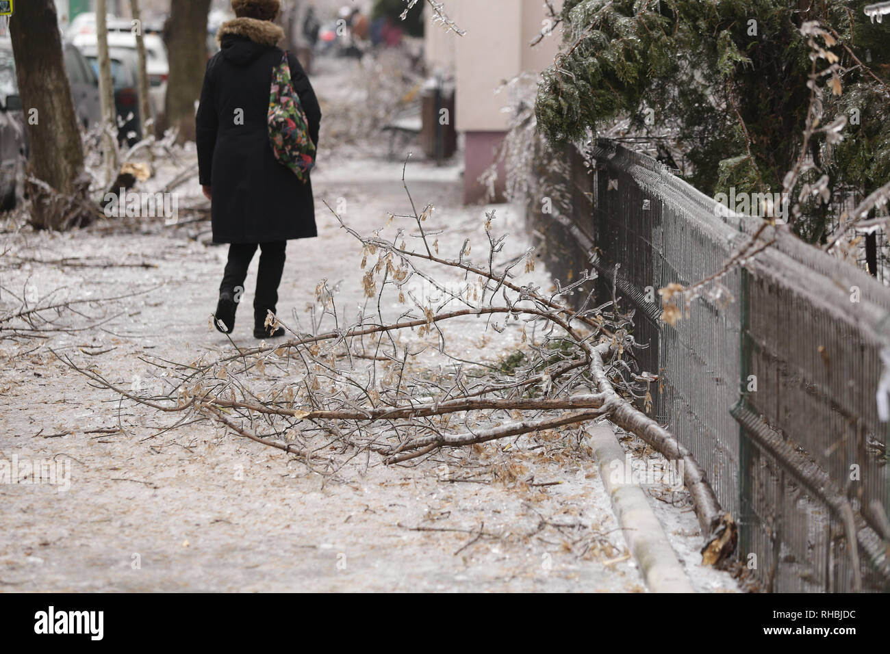 Les branches d'arbres cassées sur le trottoir à cause du poids de la glace après un phénomène de pluie verglaçante Banque D'Images