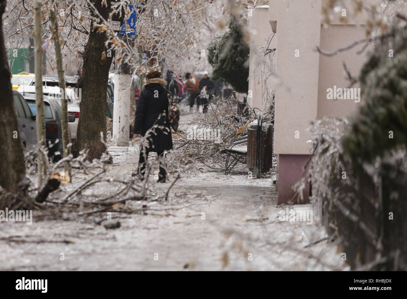 Les branches d'arbres cassées sur le trottoir à cause du poids de la glace après un phénomène de pluie verglaçante Banque D'Images