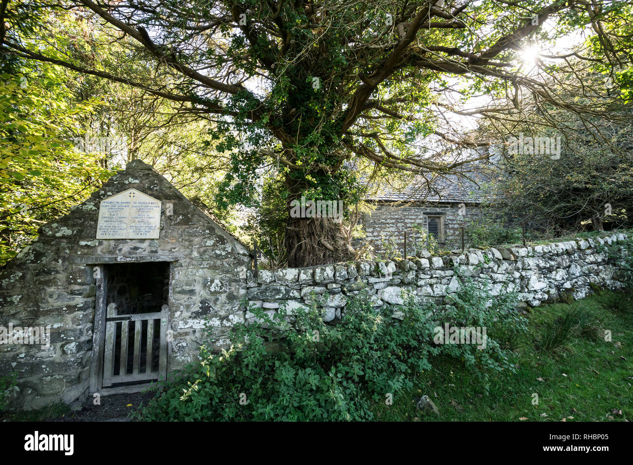 Rhychwyns st' église à Llanrhychwyn près de Wrexham dans la vallée de Conwy dans le Nord du Pays de Galles le plus ancien 6e siècle structure de l'église au Pays de Galles Banque D'Images