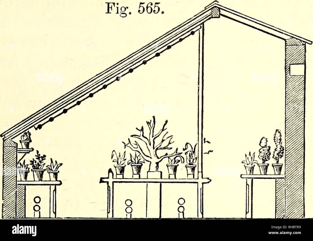 . Le livre du jardin. Le jardinage. ORCHID-Maisons. 411 l'ensemble de la scène et plancher peut être sur- coulait avec l'eau à plaisir. Le coulé les étagères sont remplies de petits cailloux, et sur ces les pots sont placés. A Grecian fontaine est placé dans le centre de la maison, l'eau de laquelle tombe dans une cuvette où les plantes aquatiques sont cultivés. Les eaux usées sont acheminées dans un grand réservoir de 2000 gallons, qui est utilisée pour les plantes, tuyaux, &amp;c'est tout, et l'eau de pluie provenant de la toiture de ce et d'autres immeubles jouxtent- ing. L'espace sous le stade est utilisé pour forcer mer-ka Banque D'Images
