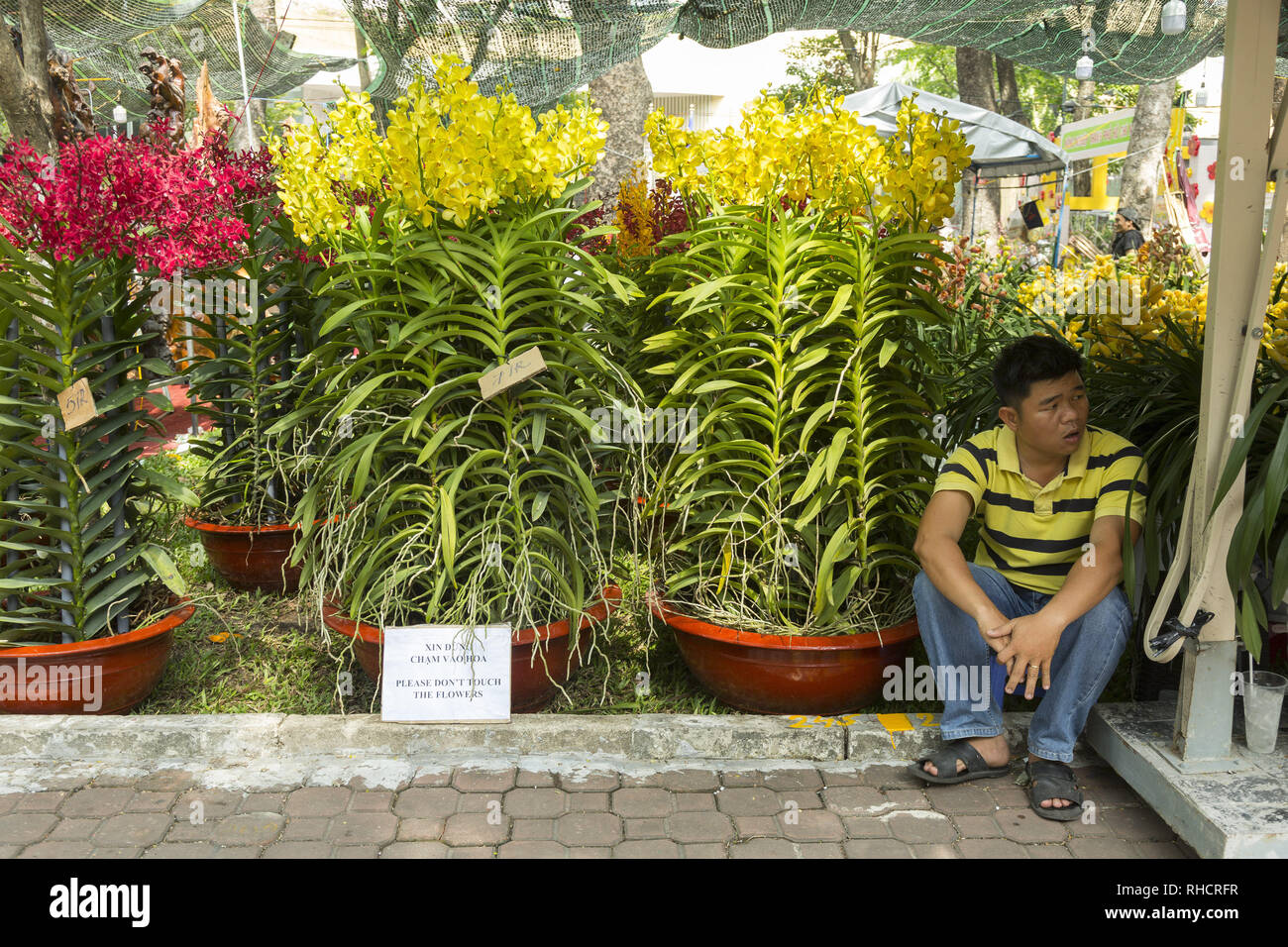 Marché aux fleurs à Ho Chi Minh, Vietnam Banque D'Images