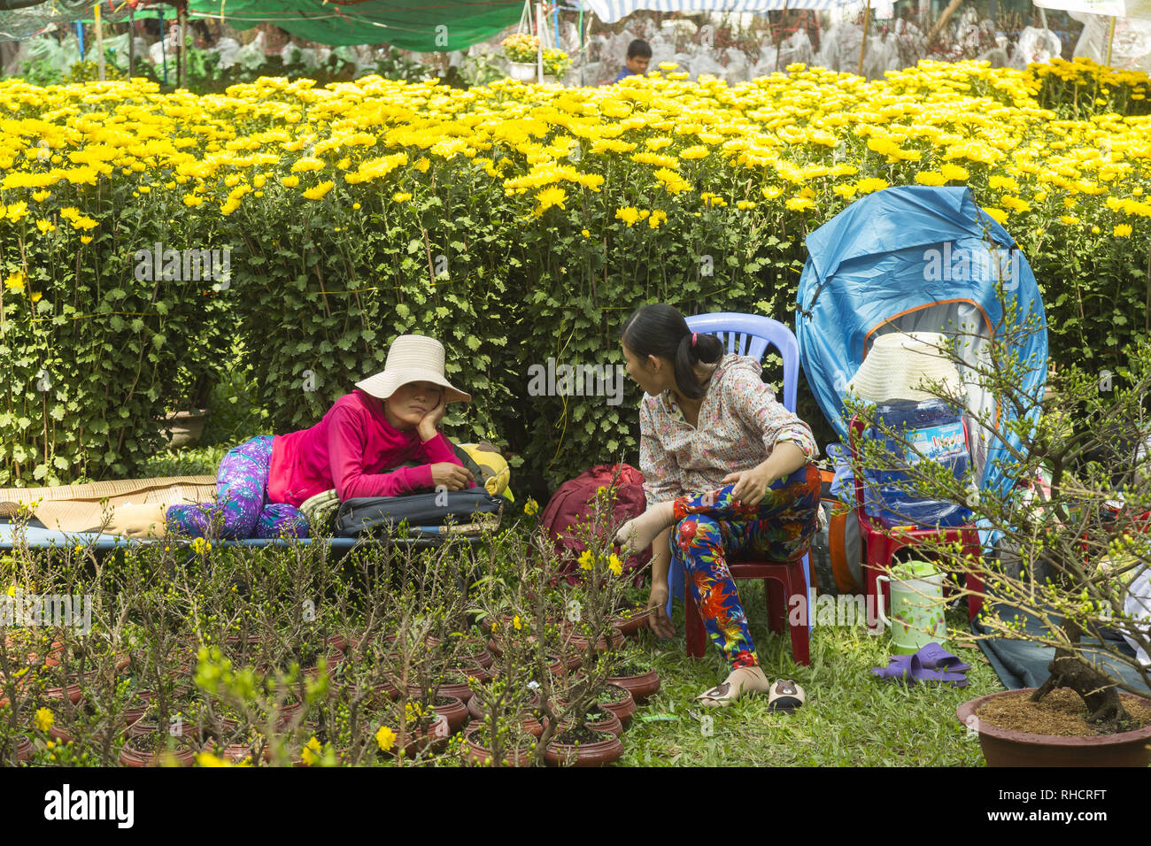 Marché aux fleurs à Ho Chi Minh, Vietnam Banque D'Images