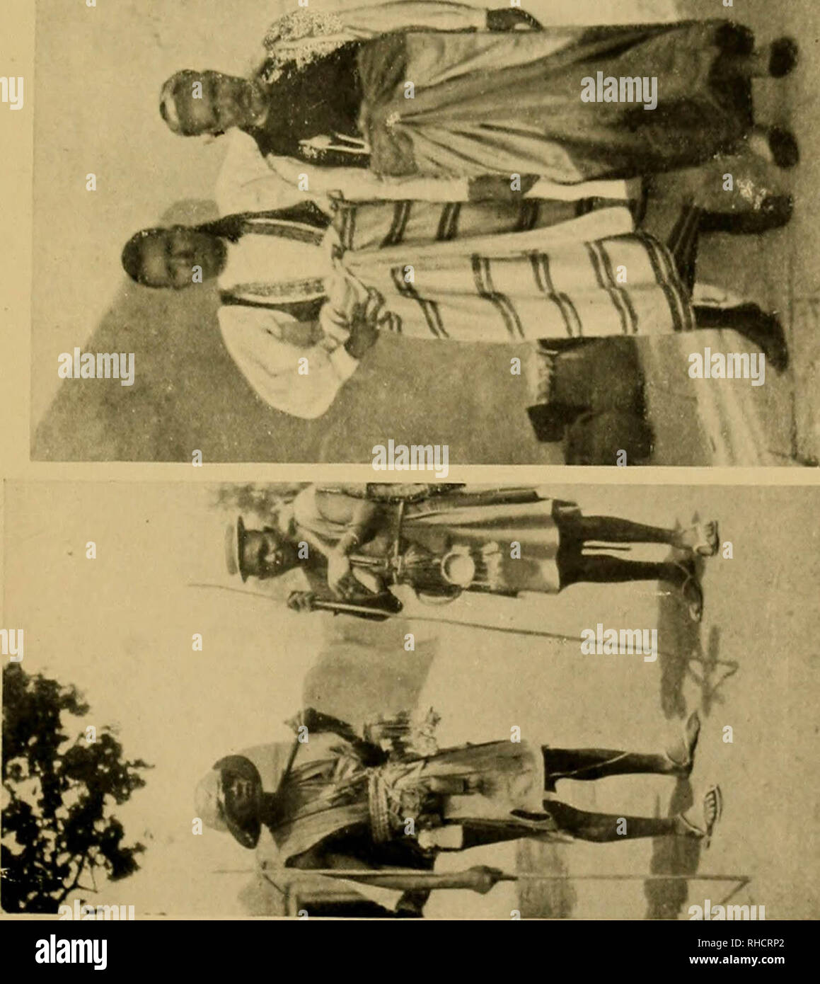 'L'interdiction du Bori, démons et démon-danse de l'Ouest et en Afrique du Nord" (1914) Banque D'Images