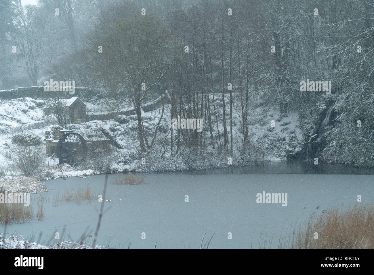 Conditions de Blizzard avec une épaisse couche de neige recouvrant Stourhead Gardens dans le Wiltshire, UK Banque D'Images