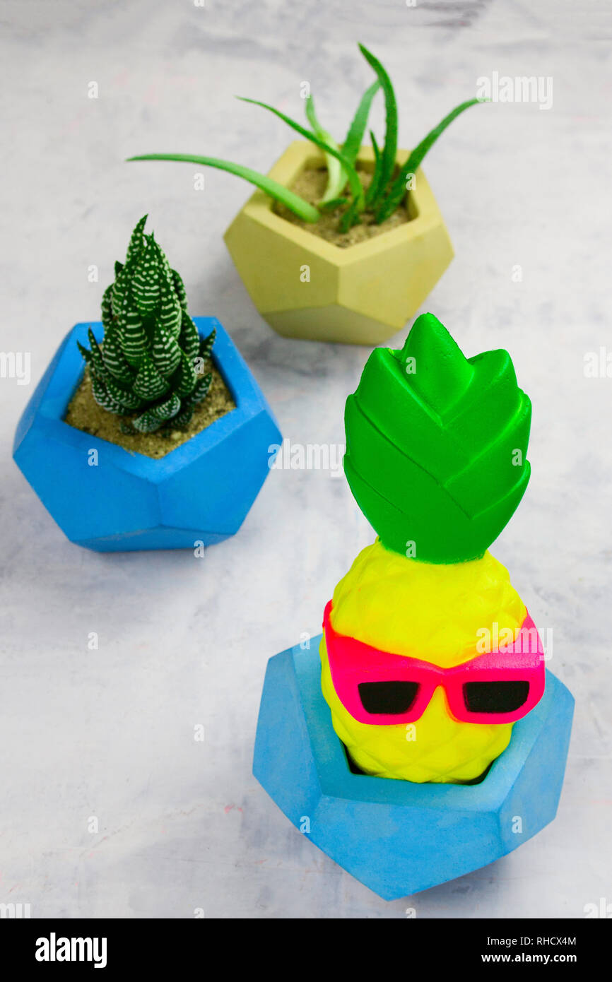 Dans le béton en pot Plantes et pots en verres ananas rigolo Photo Stock -  Alamy