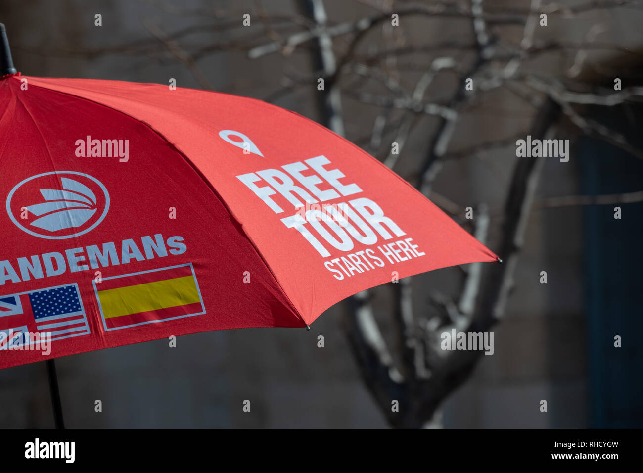 Umbrella Walking Tour Gratuit en face de la porte de Jaffa dans le vieux Jérusalem Banque D'Images