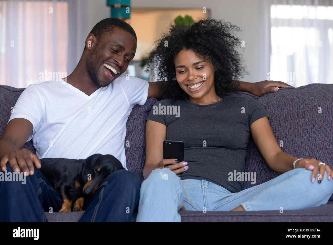 Happy black couple avec animal rire looking at smartphone Banque D'Images