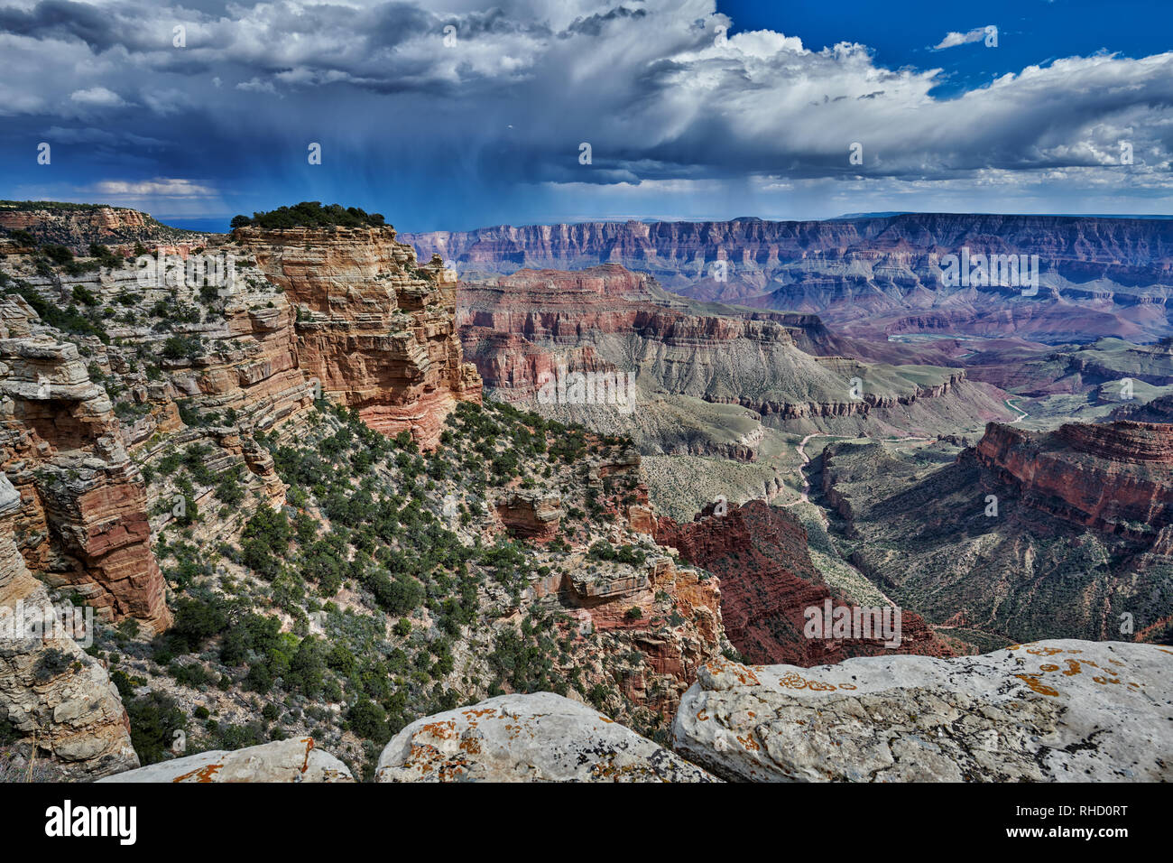 Grand Canyon, donnent sur Walhalla, North Rim, Arizona, USA, Amérique du Nord Banque D'Images