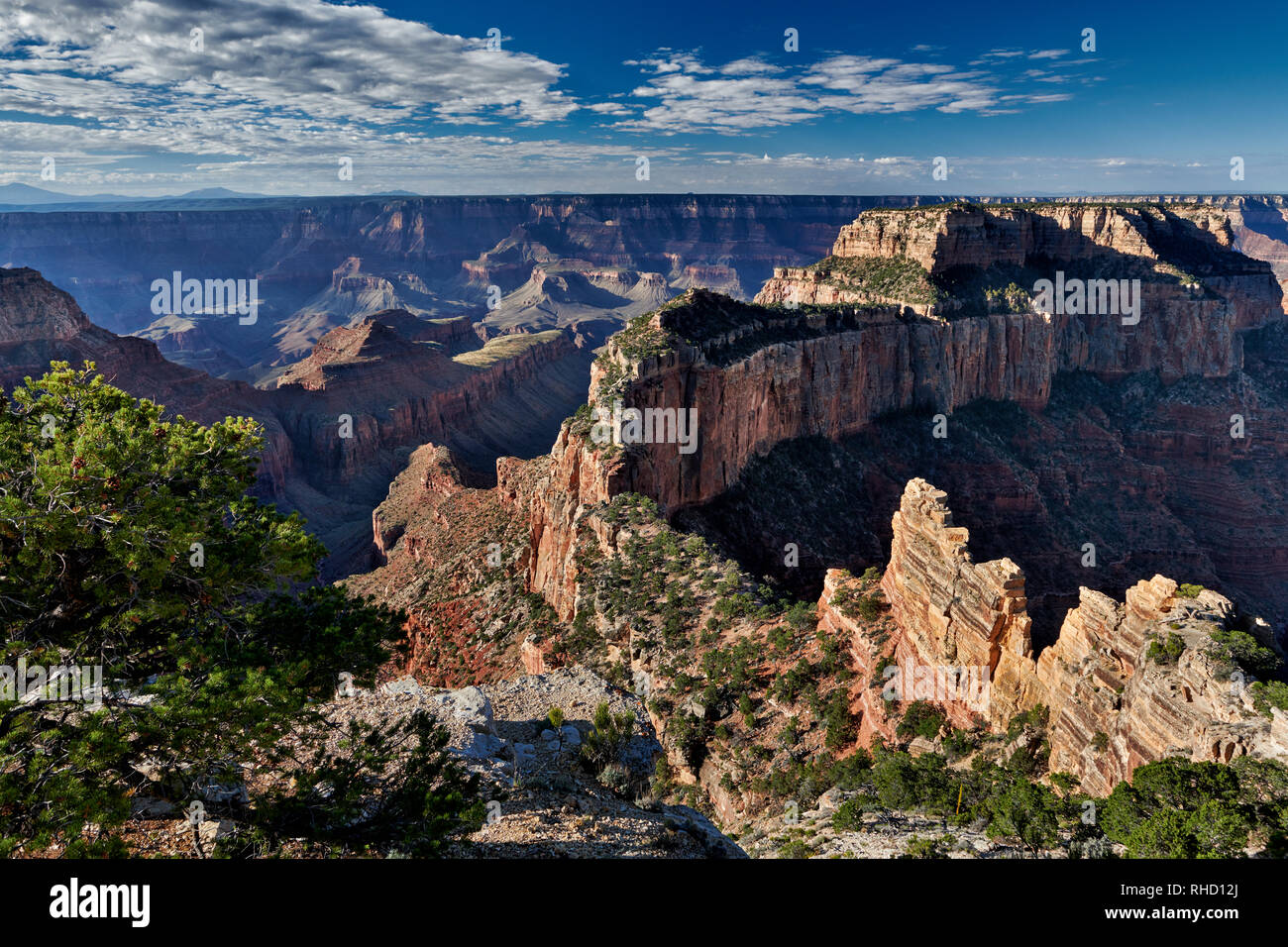 Grand Canyon, trône Wotans, Cape Royal vue, North Rim, Arizona, USA Banque D'Images