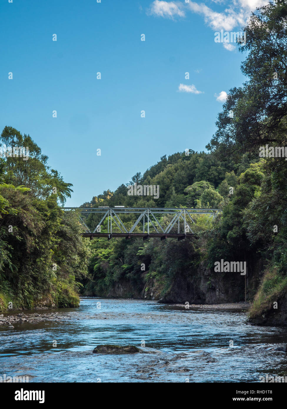 Ogilvies, Tauranga Bridge River Valley, Waimana, Te Urewera National Park, Bay of Plenty, île du Nord, Nouvelle-Zélande Banque D'Images